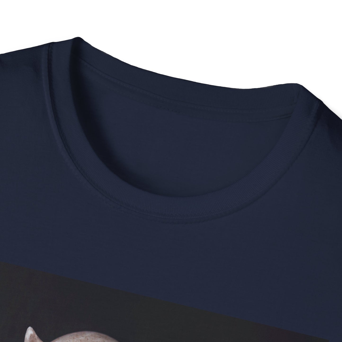 Spooky Skull BOO Halloween Tee, Unisex Softstyle T-Shirt, Halloween Apparel, Casual Ghost Shirt, October Fun Wear, Boo T-Shirt