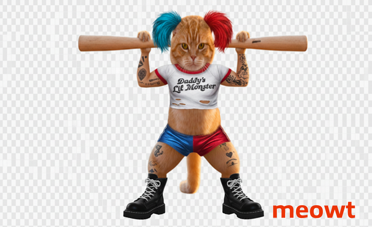 White Matter Sweatshirts & Hoodies