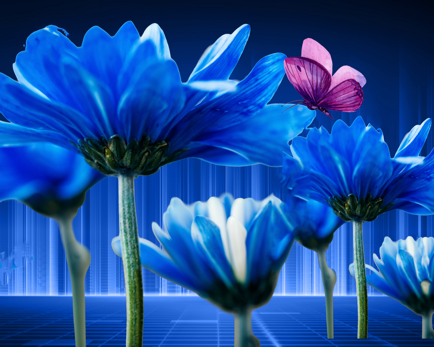 Flower Therapy