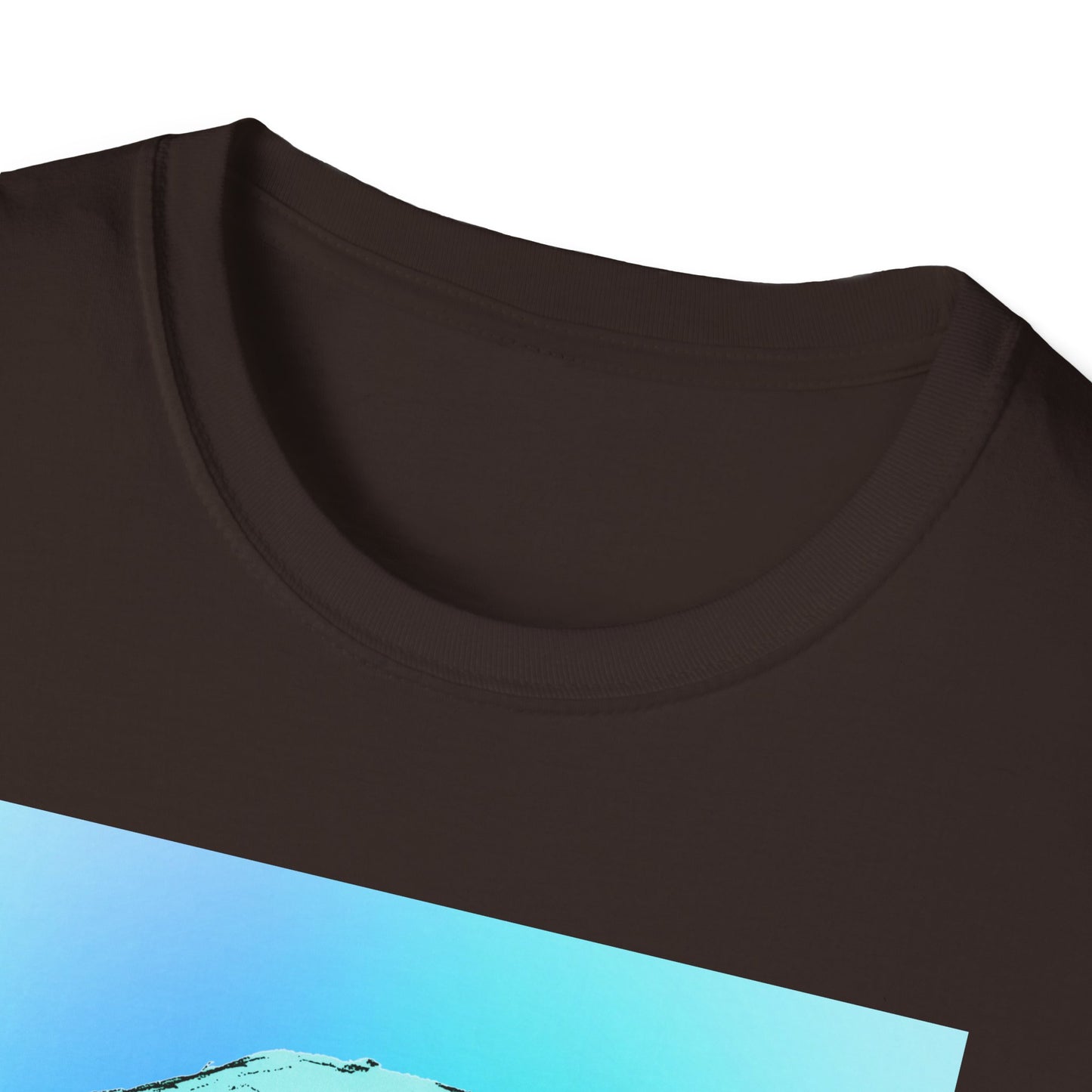 Skull Graphic  Bright Colored Unisex Softstyle T-Shirt, Edgy Tee, Casual Wear, Festival Apparel, Gift for Horror Fans, Halloween Clothing