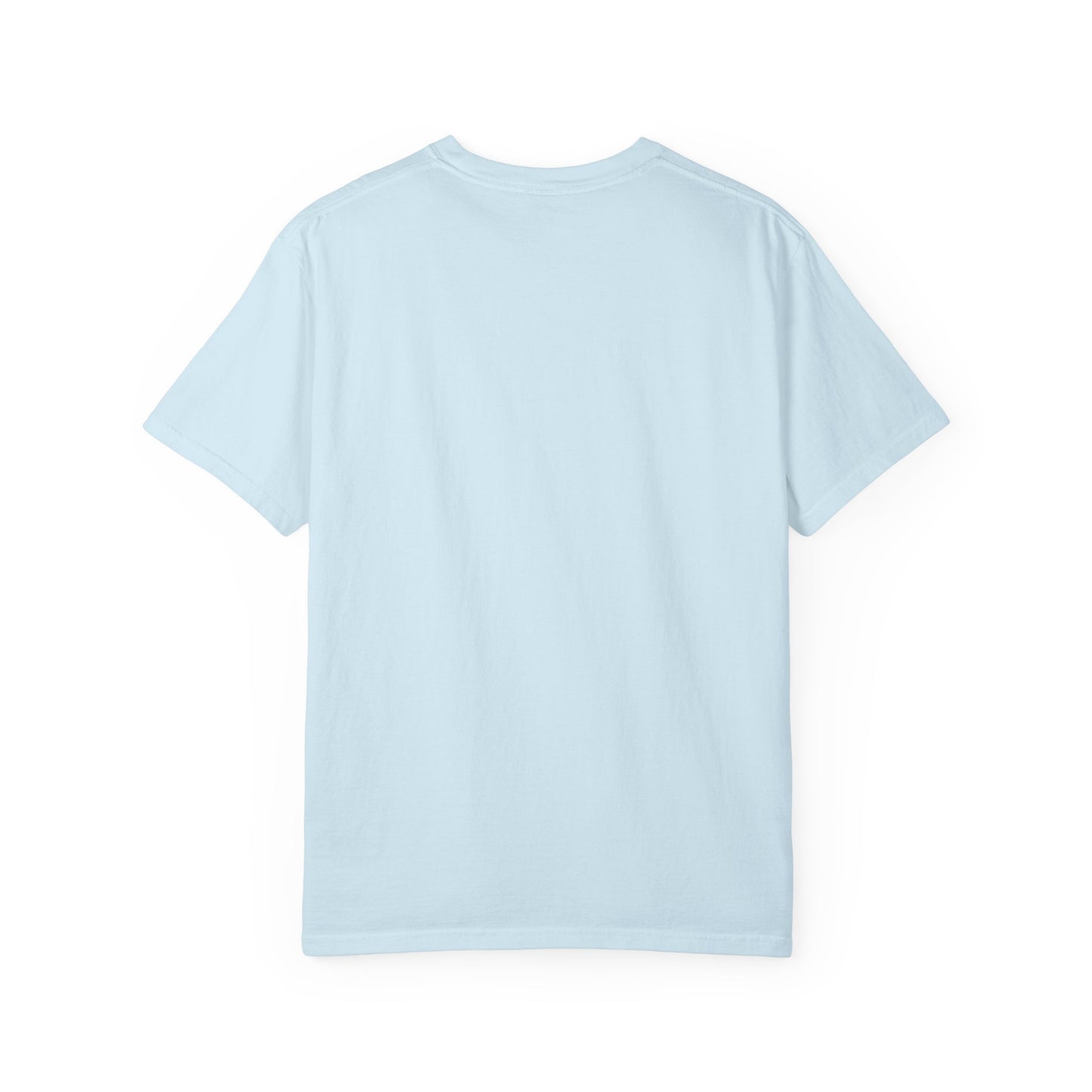 Vintage Full Carousel Horse Design Garment-Dyed T-shirt