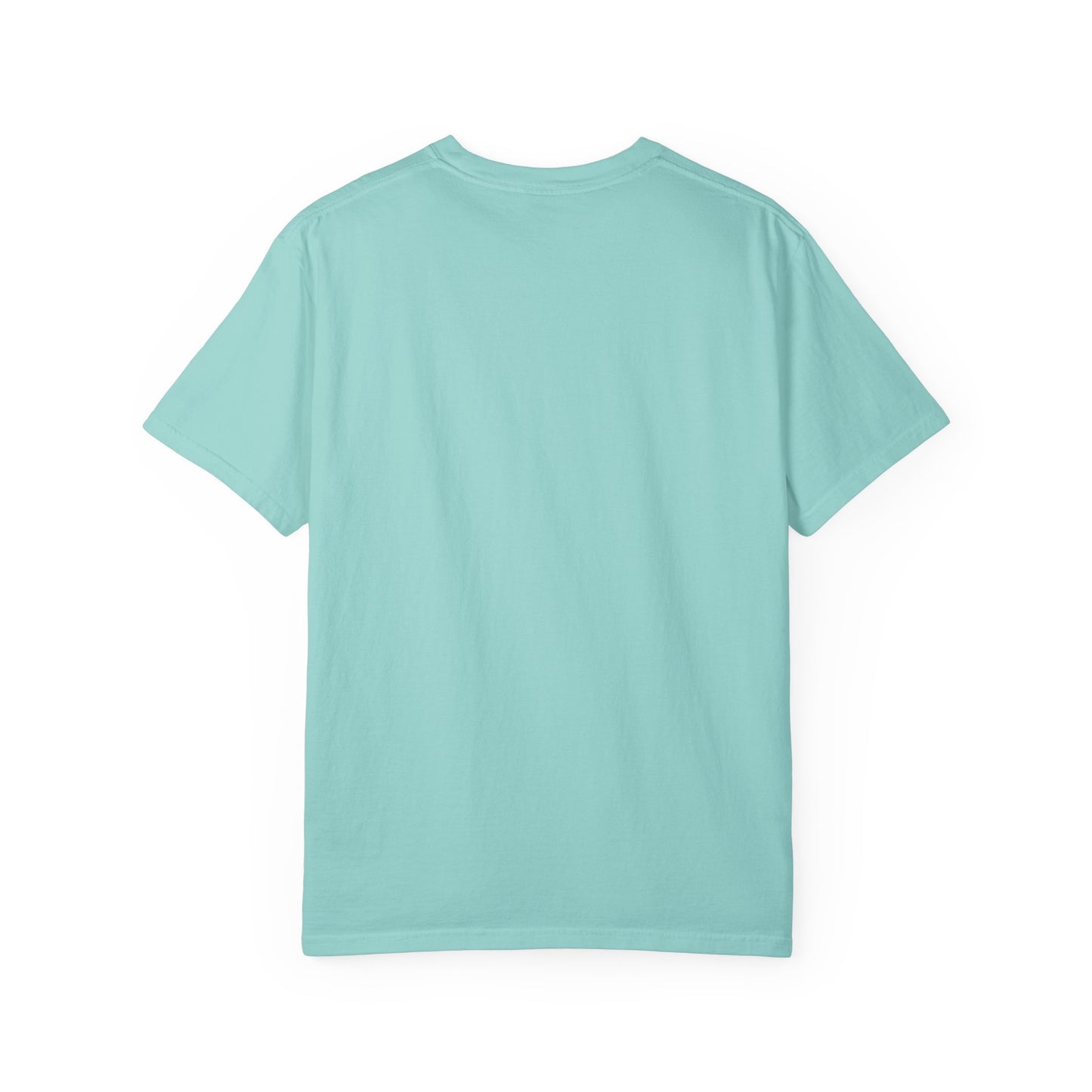 Vintage Full Carousel Horse Design Garment-Dyed T-shirt