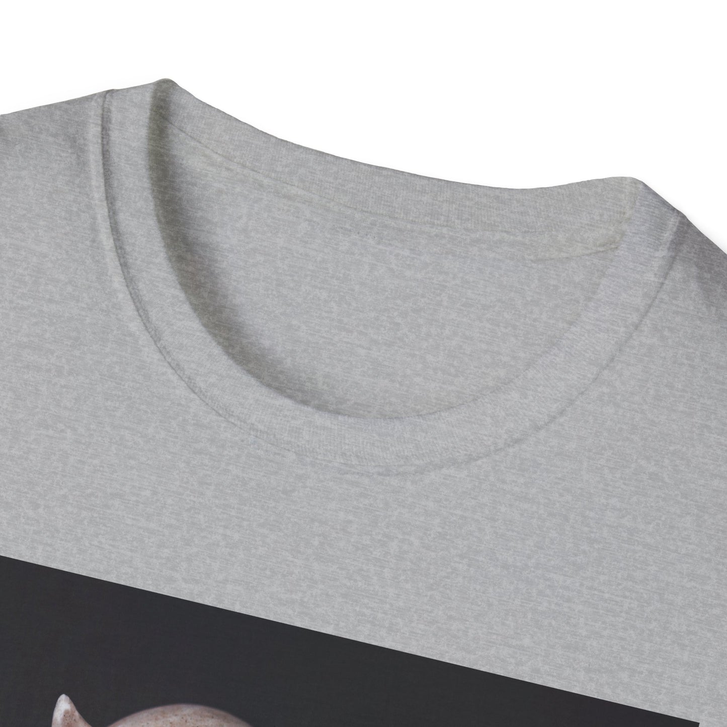 Spooky Skull BOO Halloween Tee, Unisex Softstyle T-Shirt, Halloween Apparel, Casual Ghost Shirt, October Fun Wear, Boo T-Shirt