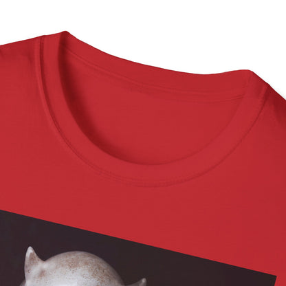 Spooky Demon Boo T-Shirt | Halloween Costume Tee | Unisex Softstyle Tee | Boo! Graphic Shirt | Casual Wear | Comfortable Halloween Apparel