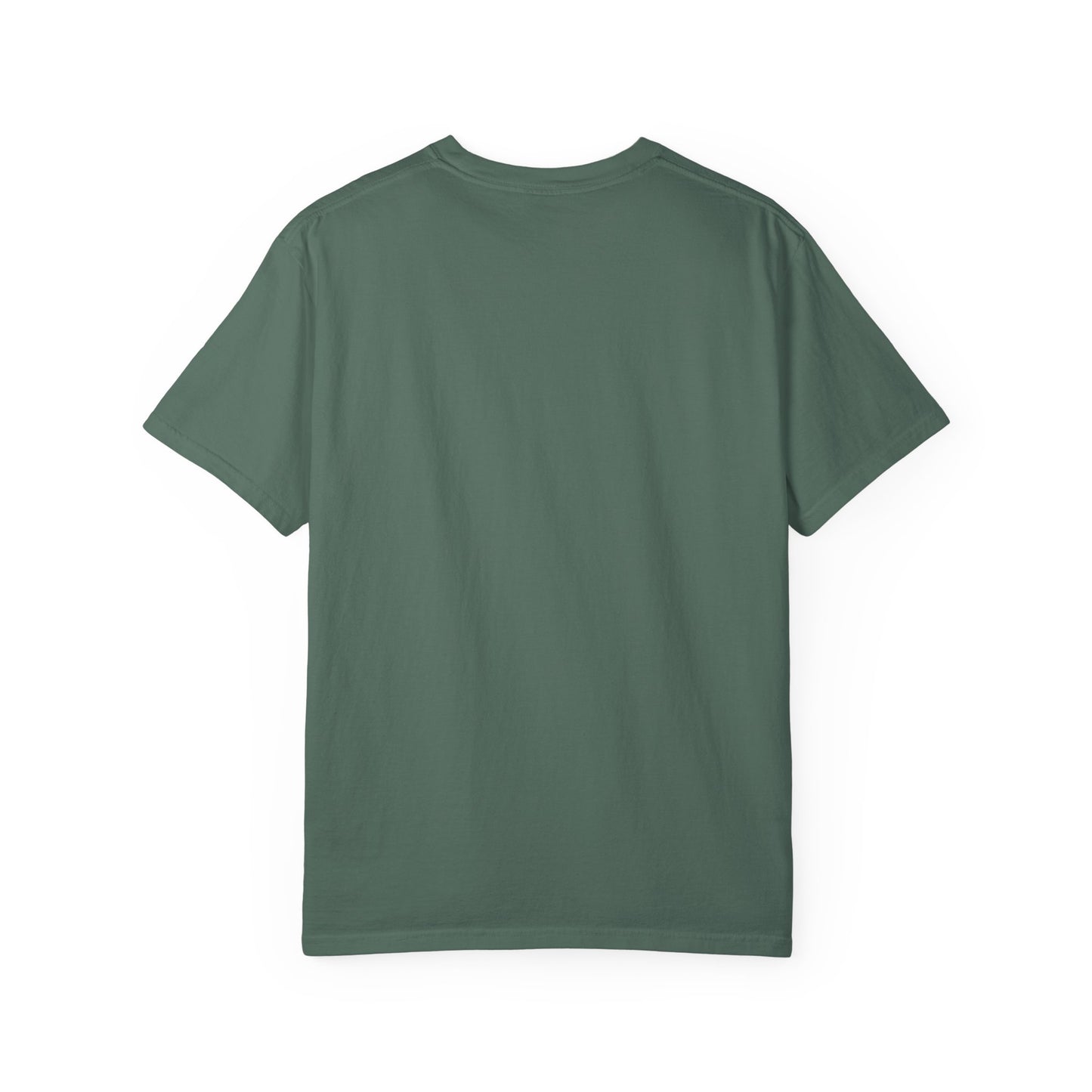 Vintage Full Carousel Horse Design Garment-Dyed T-shirt