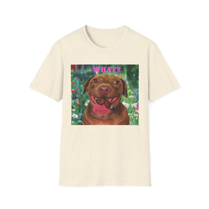 Funny Dog Graphic T-Shirt, Pet Lover Gift, Casual Wear, Animal Quote Tee, Birthday Present, Gift for Dog Owners