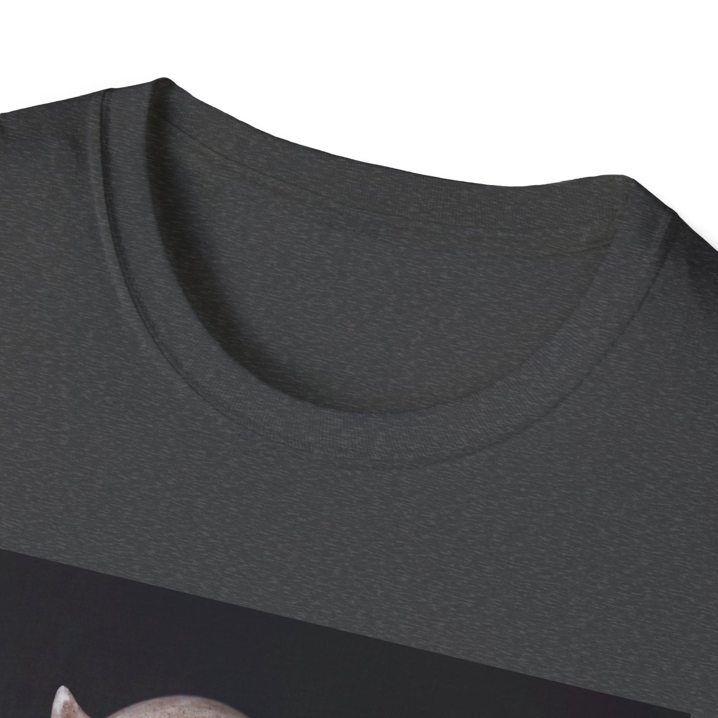 Spooky Skull BOO Halloween Tee, Unisex Softstyle T-Shirt, Halloween Apparel, Casual Ghost Shirt, October Fun Wear, Boo T-Shirt