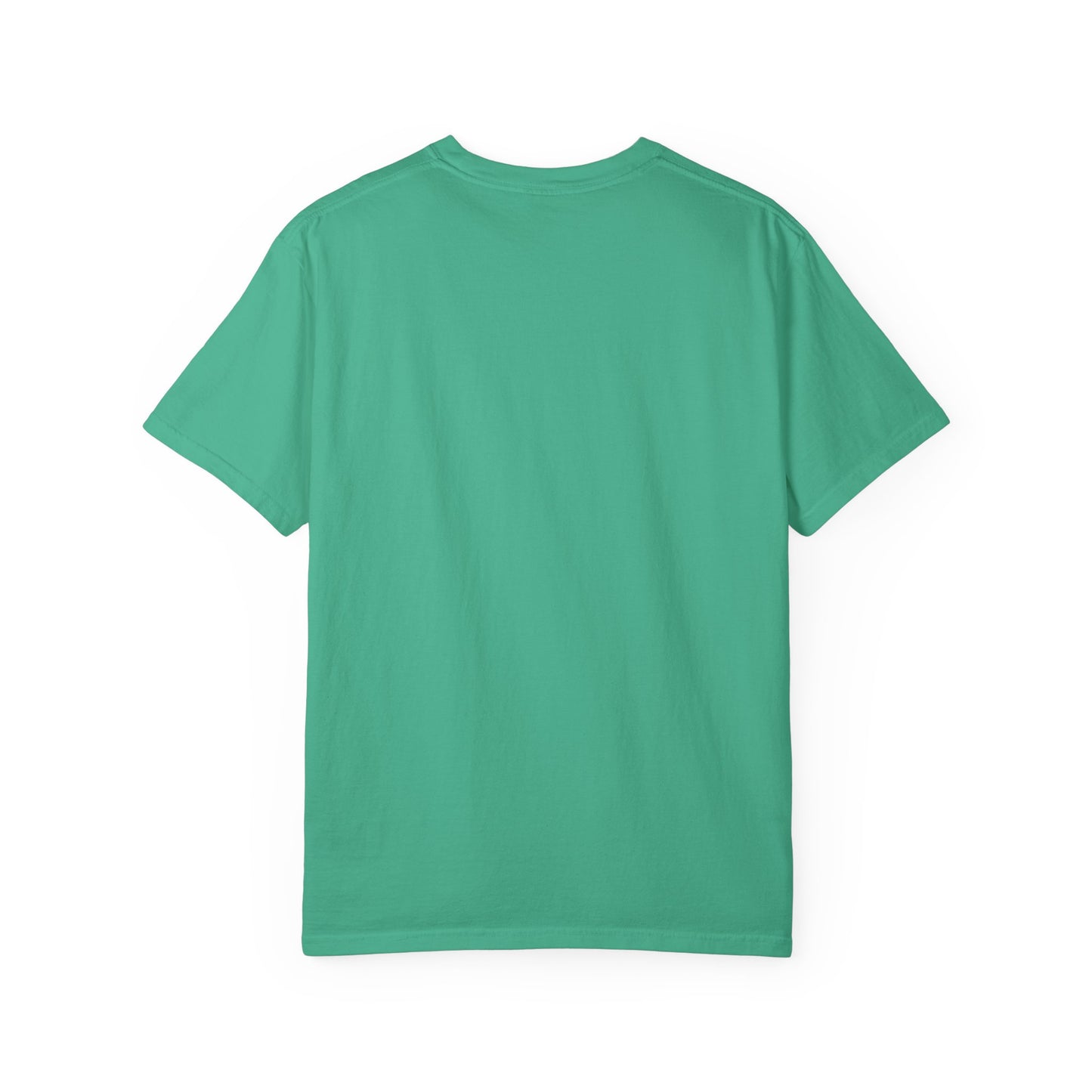 Vintage Full Carousel Horse Design Garment-Dyed T-shirt