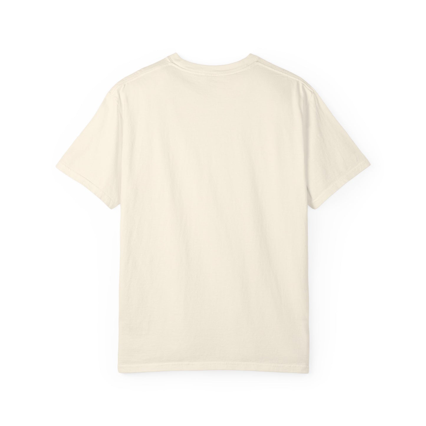 Vintage Full Carousel Horse Design Garment-Dyed T-shirt