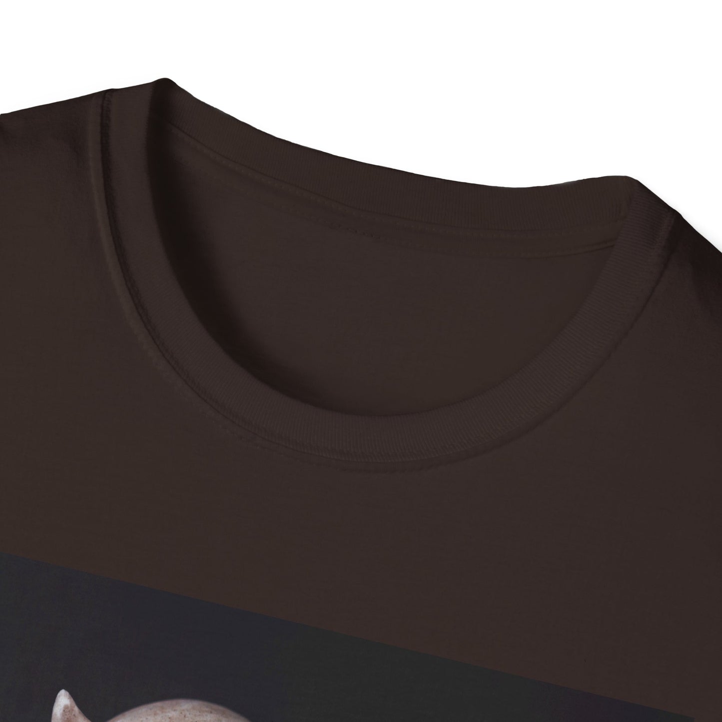 Spooky Skull BOO Halloween Tee, Unisex Softstyle T-Shirt, Halloween Apparel, Casual Ghost Shirt, October Fun Wear, Boo T-Shirt